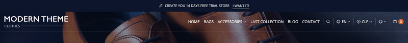 Theme Header Version Slim